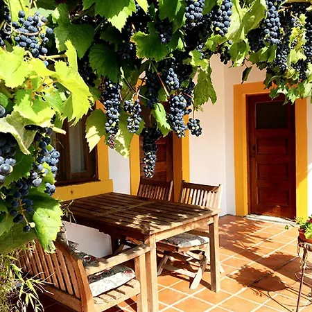 Charming With Pool Access Near Lisbon In Portugal Holiday home *